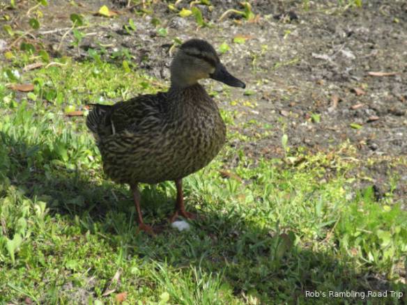 r3t2018-04-06_22-141