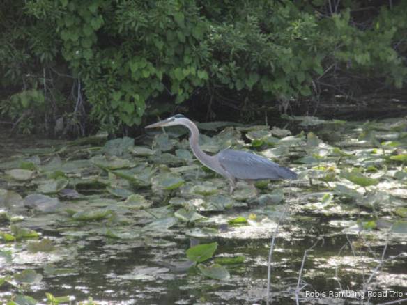 r3t2018-04-06_22-142