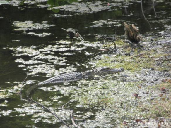 r3t2018-04-07_23-054