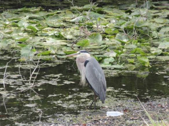 r3t2018-04-07_23-055