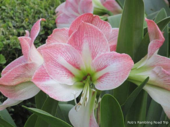 r3t2018-04-08_22-1011