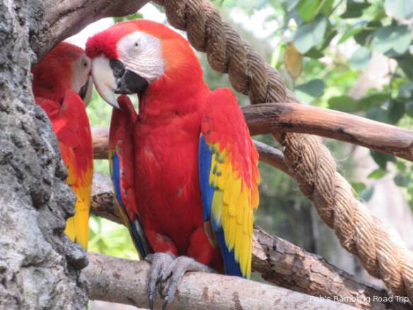 r3t2018-04-09_23-061