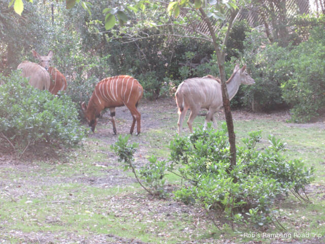 r3t2018-04-09_23-065