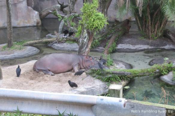 r3t2018-04-09_23-066