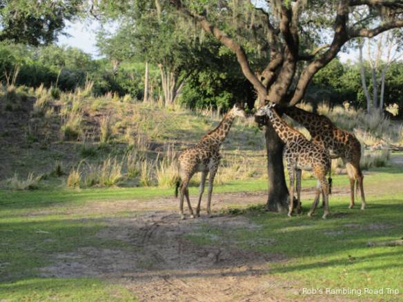 r3t2018-04-09_23-067