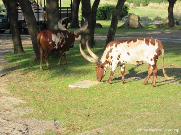 r3t2018-04-09_23-068