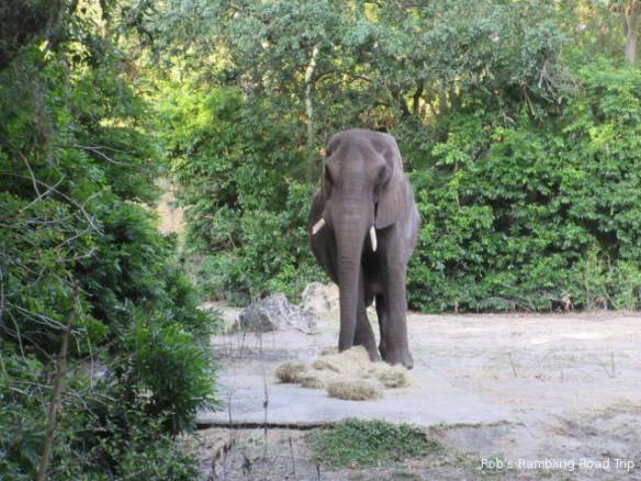 r3t2018-04-09_23-069