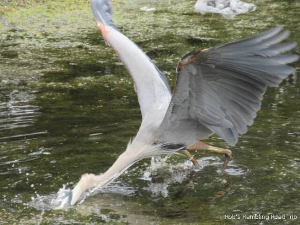 r3t2018-04-10_20-112