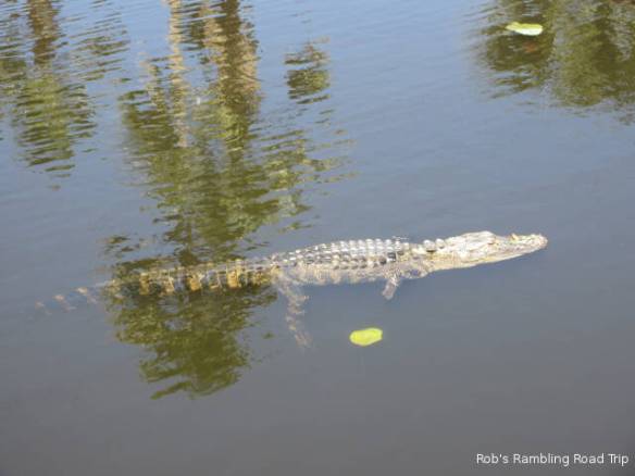 r3t2018-04-12_21-051