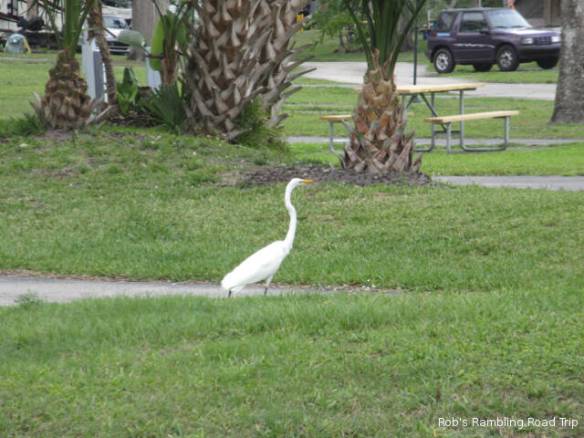 r3t2018-04-15_19-351