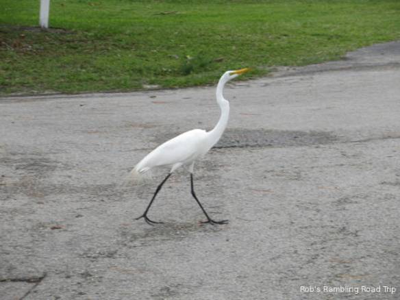 r3t2018-04-15_19-352