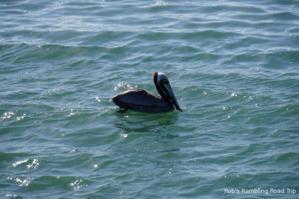 r3t2018-04-16_21-384