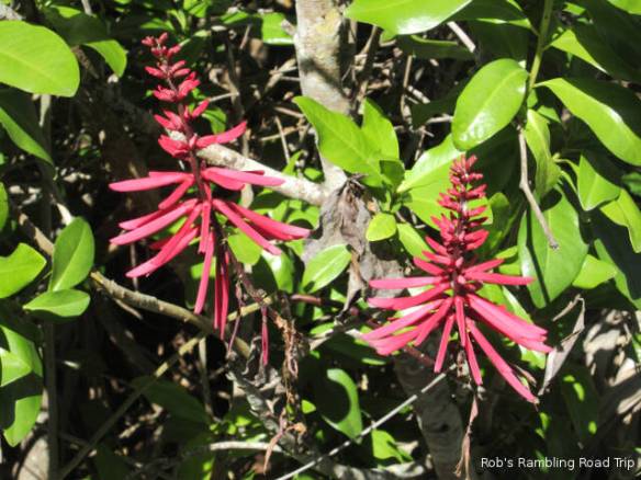 r3t2018-04-17_22-221