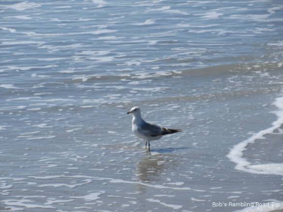 r3t2018-04-17_22-223