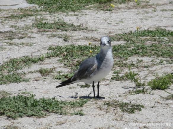 r3t2018-04-17_22-225