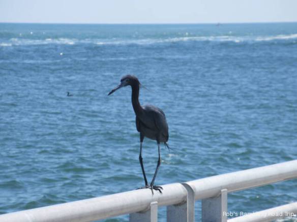 r3t2018-04-19_21-172