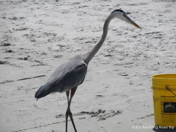 r3t2018-04-19_21-177