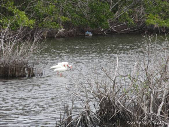 r3t2018-04-22_19-403