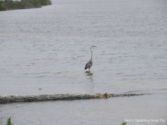 r3t2018-04-22_19-405