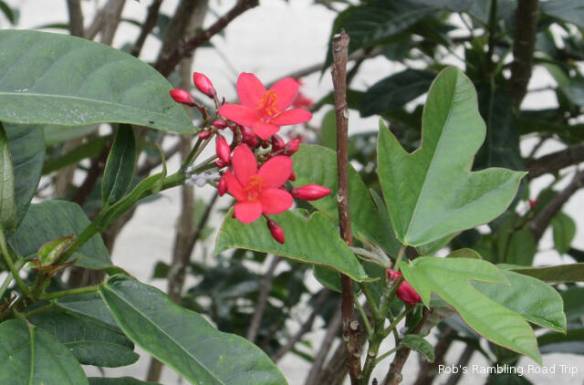 r3t2018-04-23_20-131