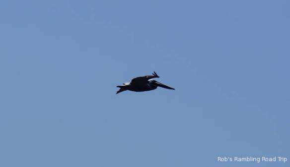 r3t2018-04-24_20-1210