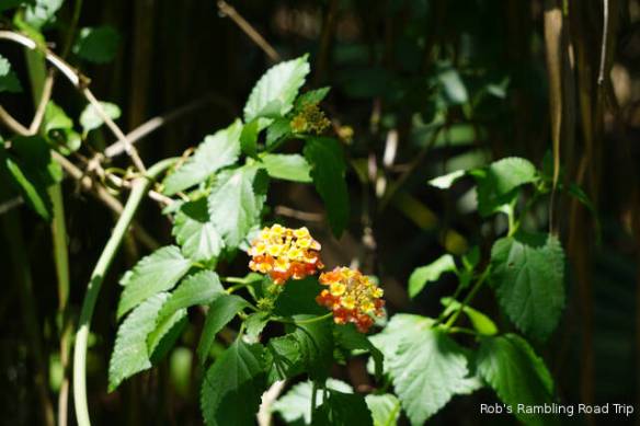 r3t2018-04-24_20-122