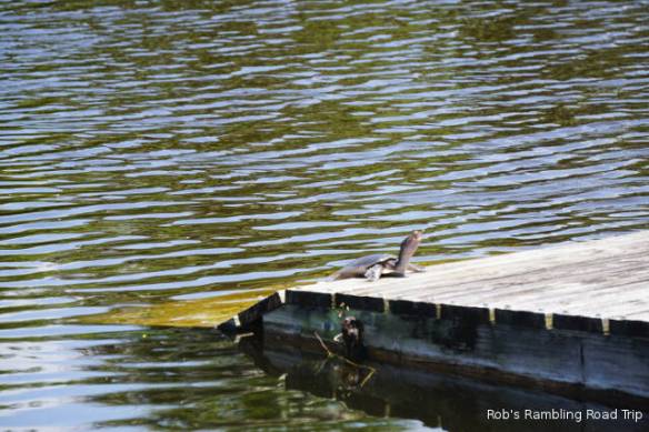 r3t2018-04-24_20-124