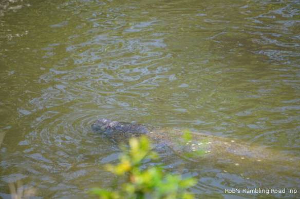 r3t2018-04-24_20-127