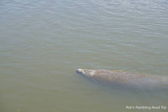 r3t2018-04-24_20-128