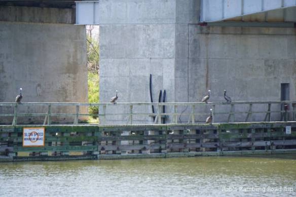 r3t2018-04-24_20-129