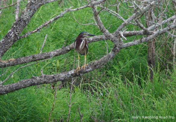 r3t2018-04-25_21-4011