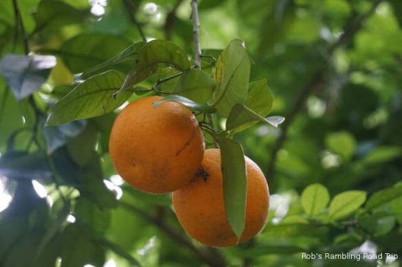 r3t2018-04-25_21-402