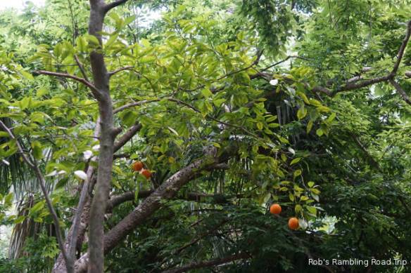 r3t2018-04-25_21-403