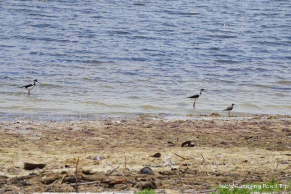 r3t2018-04-25_21-407