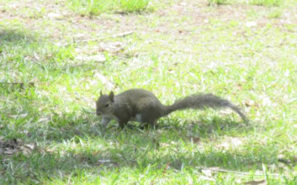 r3t2018-04-27_19-341