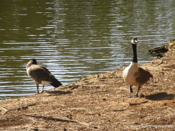 r3t2018-04-28_19-182