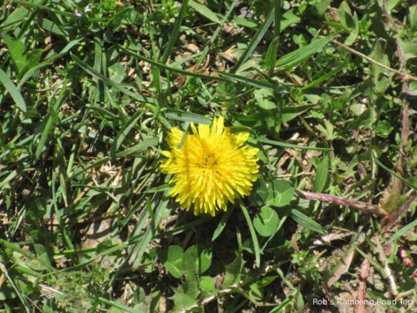 r3t2018-04-30_21-011