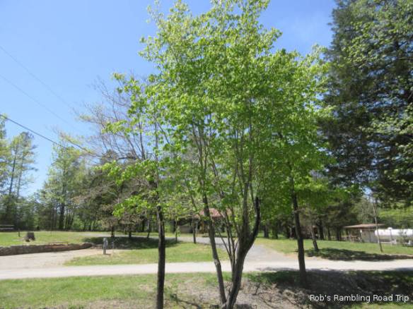 r3t2018-04-30_21-012