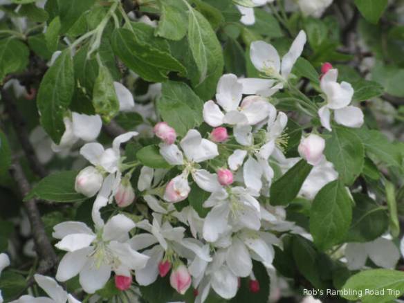 r3t2018-05-10_20-571