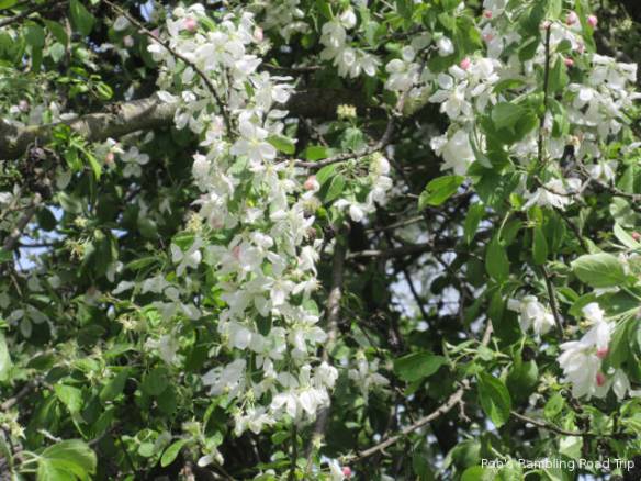 r3t2018-05-14_22-121