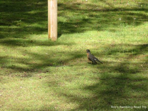 r3t2018-05-16_20-241