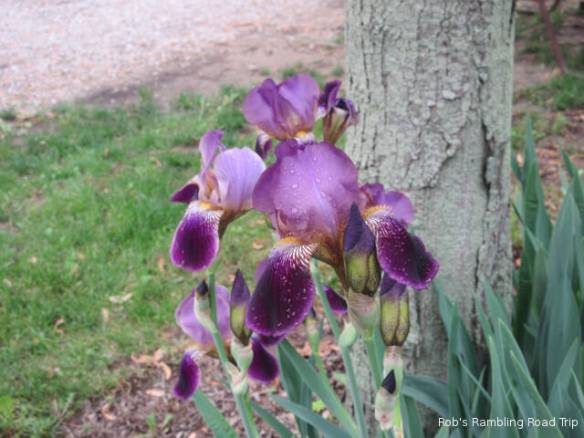 r3t2018-05-21_20-121