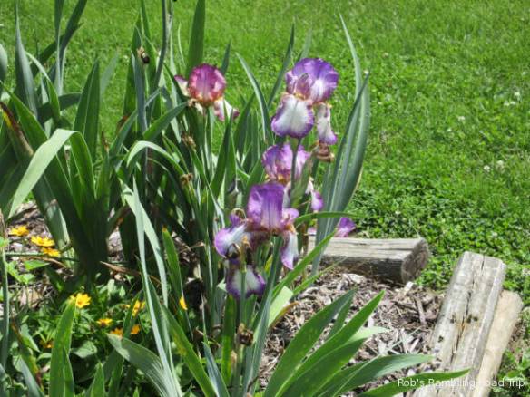 r3t2018-05-23_20-391