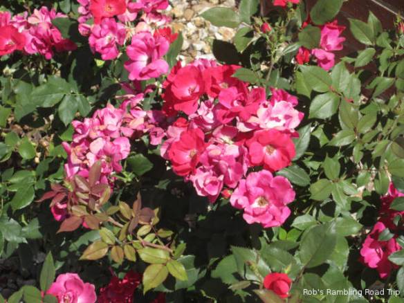 r3t2018-05-30_21-541