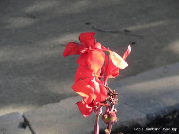 r3t2018-06-03_20-073