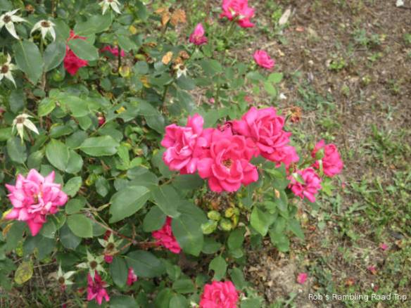 r3t2018-06-04_19-395