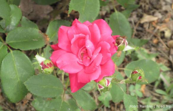 r3t2018-06-04_19-396