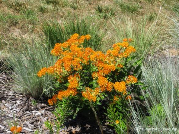 r3t2018-06-05_21-252