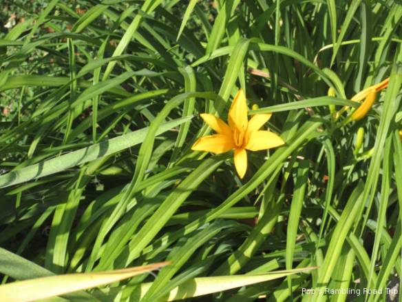 r3t2018-06-06_21-499