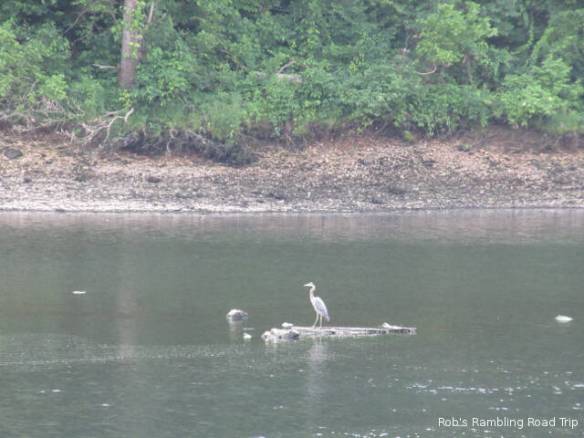 r3t2018-06-07_21-0010